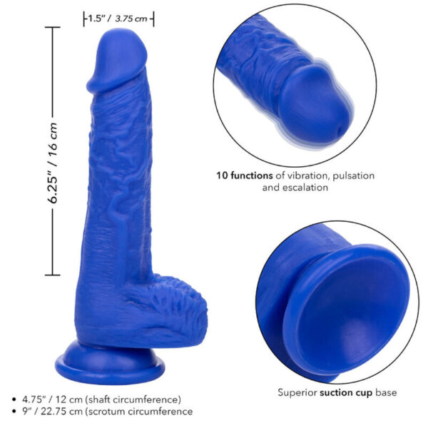 CALEXOTICS - ADMIRAL SAILOR REALISTISCHER DILDO-VIBRATOR BLAU – Bild 4