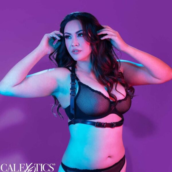 CALEXOTICS - EUPHORIA PLUS SIZE HALTER BUCKLE HARNESS SCHWARZ