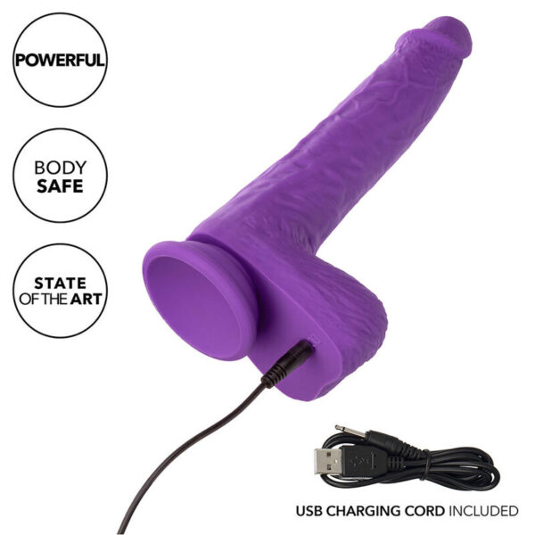 CALEXOTICS - STUDS WIEDERAUFLADBARER UND ROTIERENDER VIBRATOR 10 VIBRATIONEN LILA – Bild 7